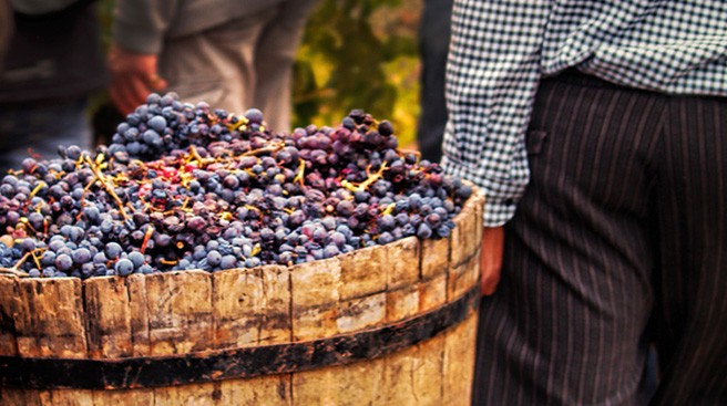 Chilean Winemaking